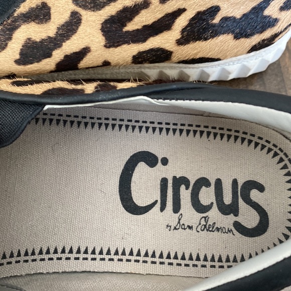 Size 7 Circus by Sam Edelman Animal Print. In great condition. Like new. - Picture 2 of 3